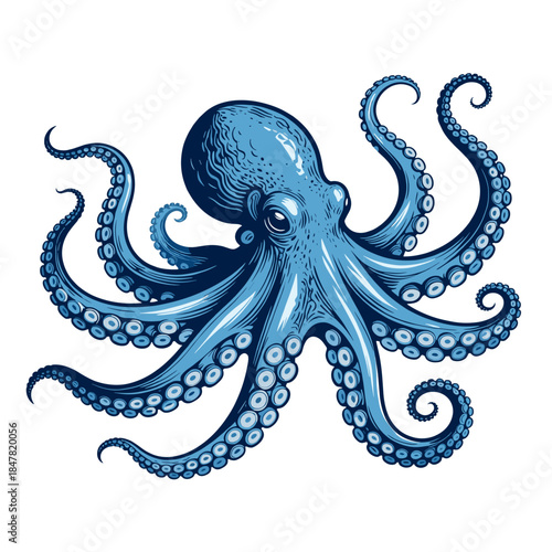 [Vector EPS]Blue Octopus Illustration with Curly Tentacles