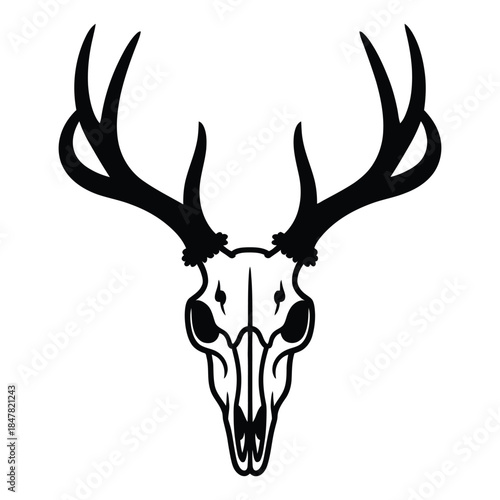 deer head isolated