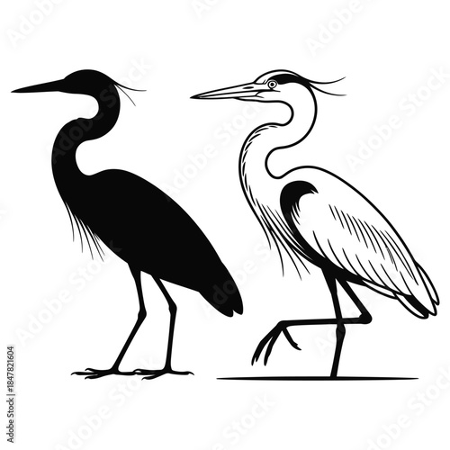 great blue heron