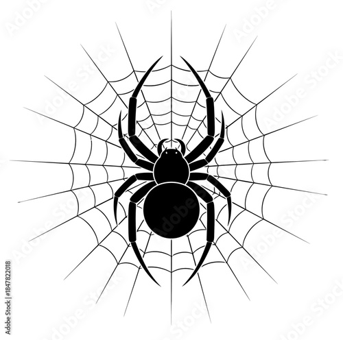Black Spider Silhouette on Intricate Web Macro Halloween Scary Arachnid Insect Nature Wildlife Illustration 