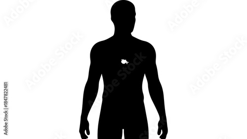 Man silhouette with turtle with transparent background