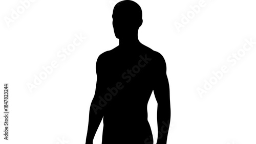 Male torso silhouette with transparent background