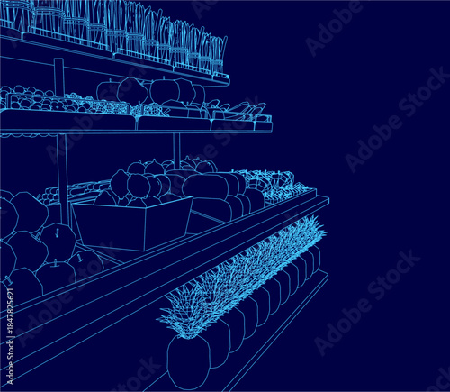 Blueprint of a grocery store shelf neatly stocked with fruits and vegetables like apples, oranges, carrots, and peppers. The clean contour lines depict an organized and well-supplied retail display.
