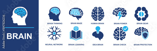Brain icon set. Containing brain thinking, brain maze, human brain, brain power, brain gear, neural network, brain learning, idea brain, brain check, brain protection and more. Solid vector icons