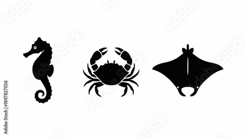 Set of three simple black and white silhouettes of marine life including a seahorse, crab, and manta ray