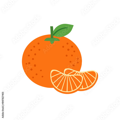 Flat style illustration of fresh orange fruit with slices