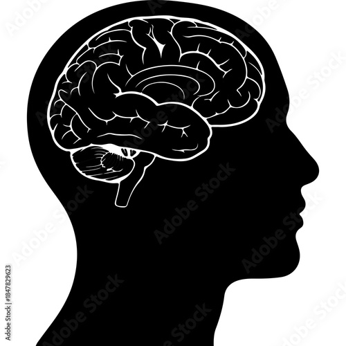 Human head silhouette with brain with transparent background