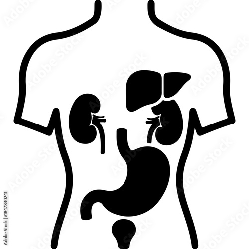 Human anatomy organs scheme with transparent background