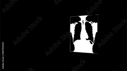 Chest x-ray with transparent background