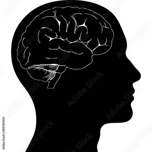 Human head silhouette with brain with transparent background