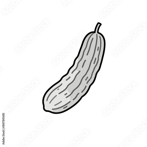 [Vector EPS]Fresh and healthy cucumber vegetable for culinary use