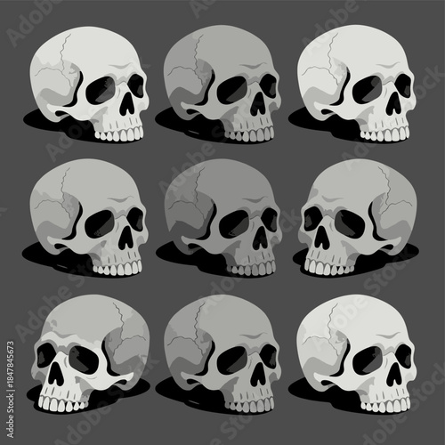 [Vector EPS]Set of multiple human skulls in different angles and shades