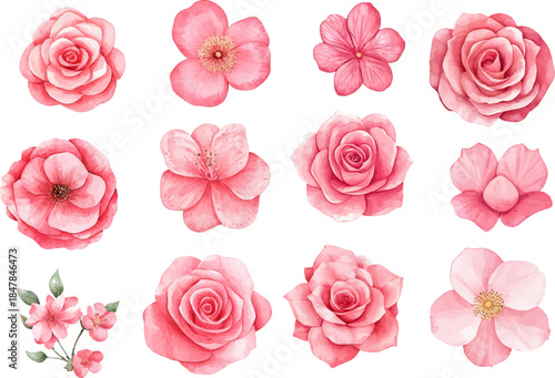 seamless pattern with pink roses