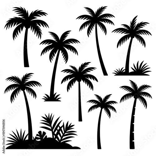 [Vector EPS]Black silhouettes of palm trees and tropical plants