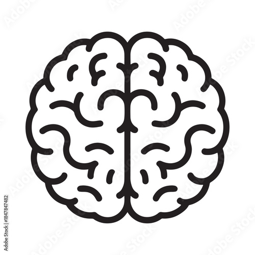 Detailed illustration of a human brain with clearly defined convolutions