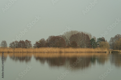 Calm lake with reeds and bare trees reflected in water