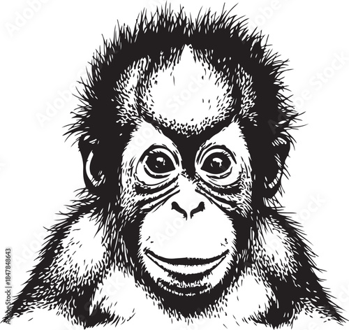 Baby orangutan face illustration animal graphic young cartoon ape jungle forest wild