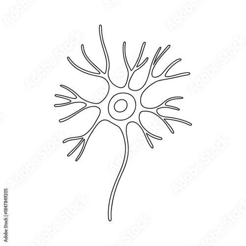 Detailed illustration of a neuron with central cell body and branching dendrites
