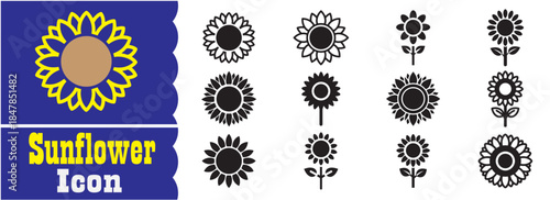 Set of Sunflower icon, Sunflower vector collection