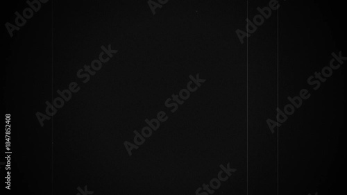 Silent Noir Film Grain Overlay 4K Seamless Loop