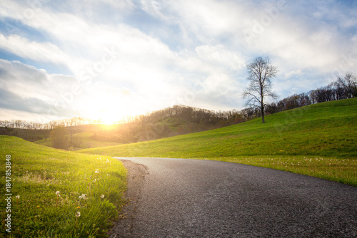 simple road winding through verdant green grassy hills