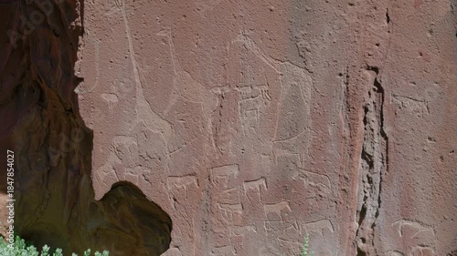 a tilt up clip of a rock art carving of giraffe and various african animals at twyfelfontein in namibia, africa