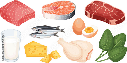 Protein rich food set with raw salmon steak tuna fillet beef meat eggs chicken leg milk cheese and spinach isolated on white background flat vector illustration