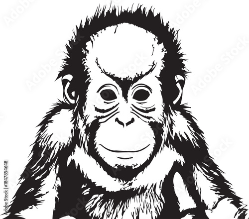 Orangutan baby face illustration animal graphic young cartoon ape jungle forest wild