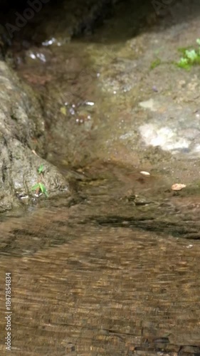 Vertical video of a clear and fresh spring. Ecological and environmental concept. Realtime footage, 4K