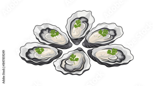 Six oysters arranged in a circular pattern on a white background