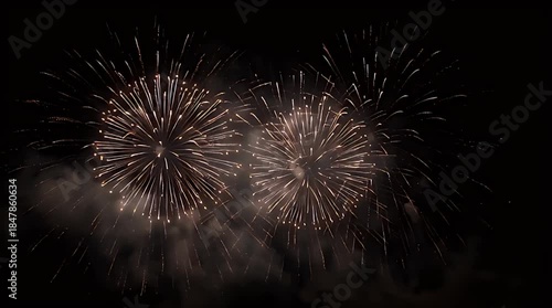 Wallpaper Mural Wide Symmetrical Fireworks Exploding on Dark Night Sky Torontodigital.ca