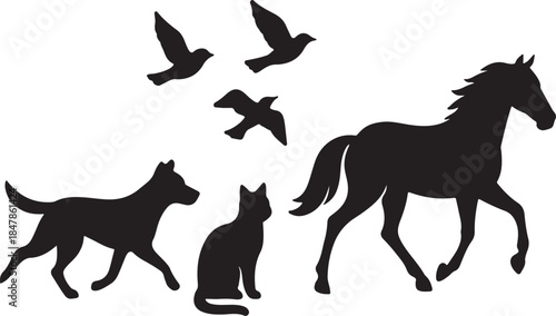 Black animal silhouettes featuring a running horse walking dog sitting cat and flying birds against a white background
