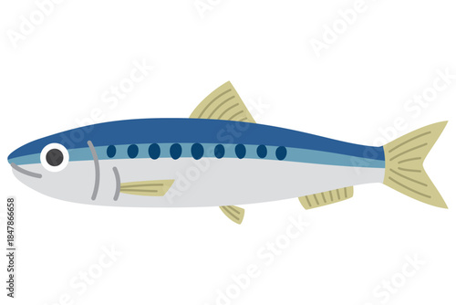 イワシのイラスト