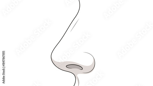 Stylized illustration of a human nose in profile