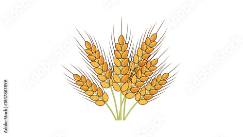 Stylized illustration of wheat stalks with golden grains
