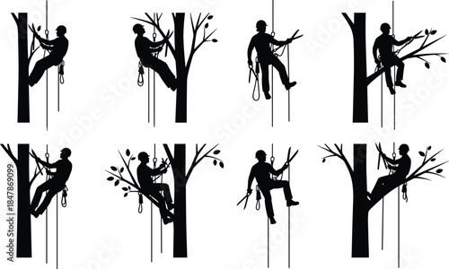 Set of Arborist and Tree Climber Silhouettes Performing Rope Access and Pruning Work Isolated on White Background Vector Illustration