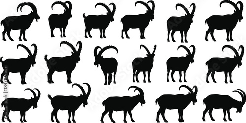 Set of Mountain Goat and Ibex Silhouettes Showing Different Standing Poses Wild Animal Collection Isolated on White Background Vector