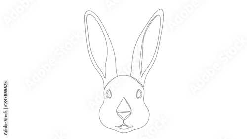 Continuous line art illustration of a rabbit head looking forward on white isolated on white background, Vector