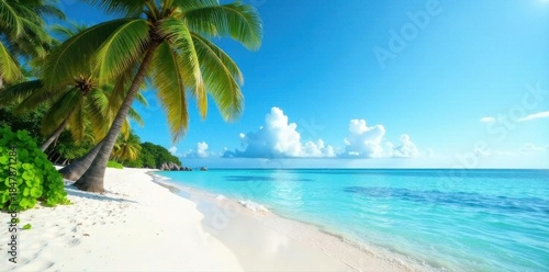 White sand beach, lush palm trees, clear water, green, coast, sunny