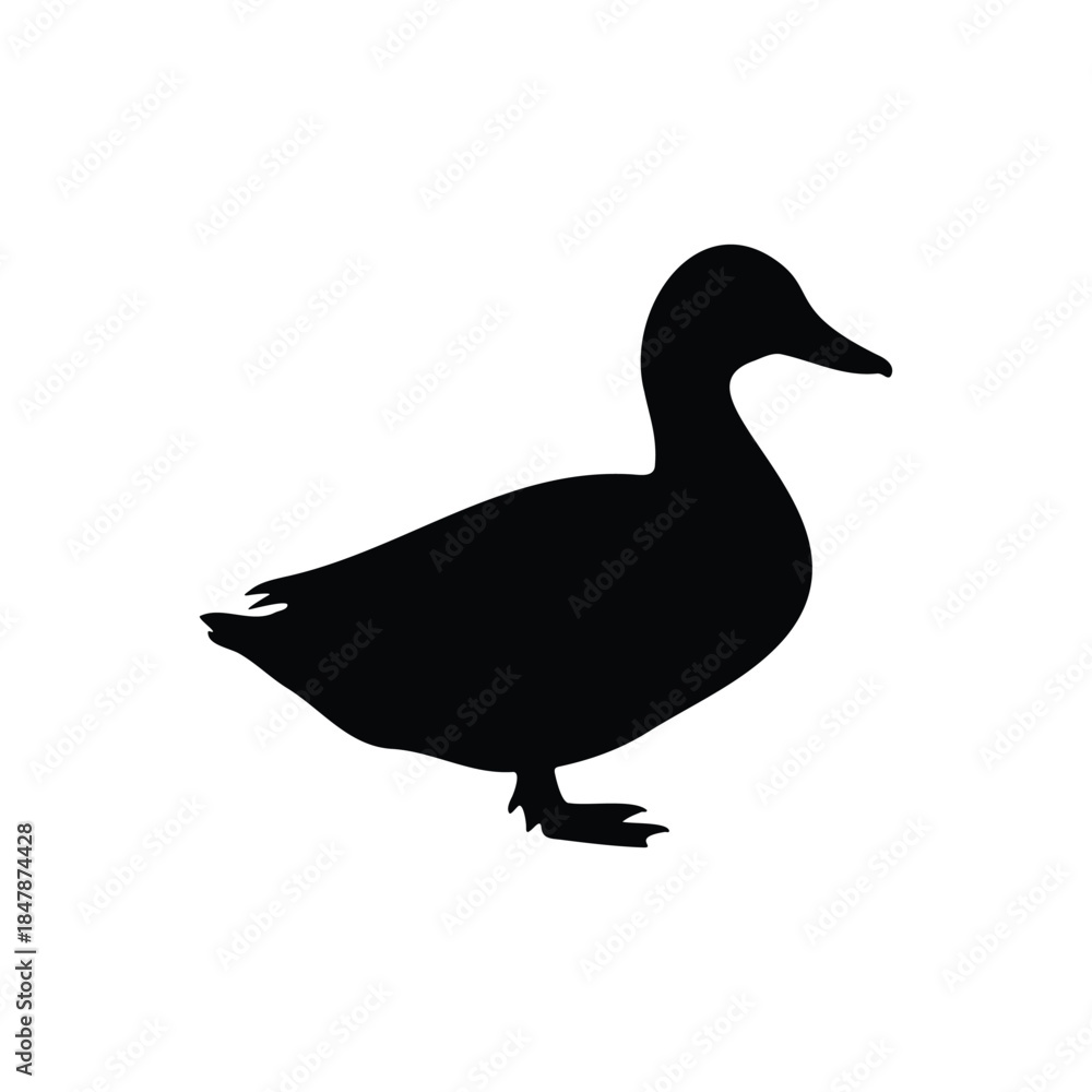 Obraz premium Duck silhouette vector flat design on white background.
