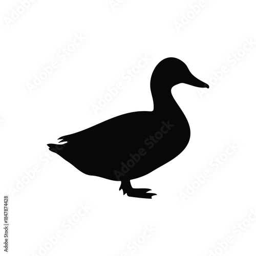 Duck silhouette vector flat design on white background.