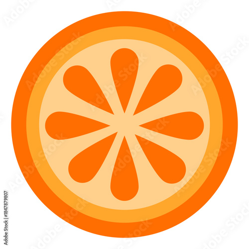 Orange Slice Vector Illustration Isolated on Black Background