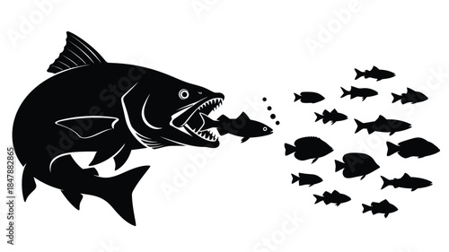 Large predatory fish with an open mouth consuming smaller fish in ocean