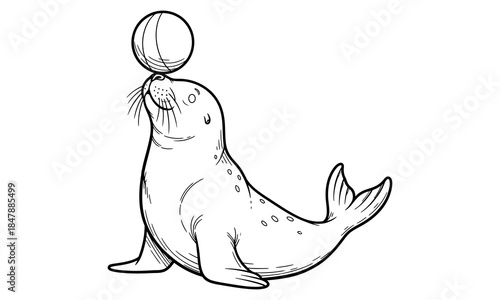 Playful seal balancing ball