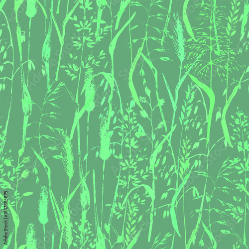 Hand drawnwild plant seamless pattern in green color. Meadow ear grass, timothy, oat, wheat ears, fowl, foxtail, couch-grass. Decorative background for organic eco product
