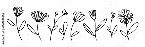 Minimalist line drawing of various blooming flowers and leaves on stems, perfect for graphic design, branding, and decorative accents representing nature and growth.