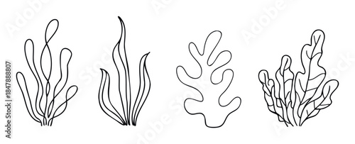 Black line drawings of various aquatic plants and coral shapes presented in a minimalist style, perfect for organic themes, environmental projects, or natureinspired graphic creations.