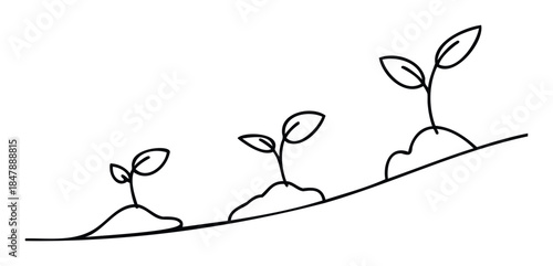 Simple line drawing progression of seedlings growing from small sprouts to larger plants, symbolizing growth and development for business or nature concepts.