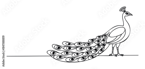 Elegant black and white line drawing of a peacock with spread tail feathers featuring eye patterns, perfect for decorative use and sophisticated branding applications.