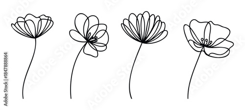 Four delicate floral outlines in black on white, perfect for feminine branding, wedding invitations, and natural cosmetic packaging.